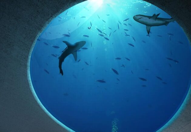 Seattle Aquarium