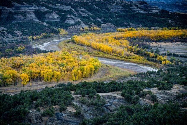 Theodore Roosevelt National Park