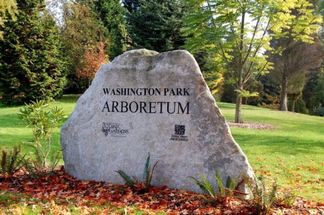 Washington Park Arboretum