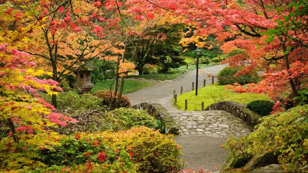 Washington Park Arboretum