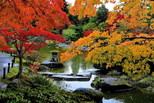 Washington Park Arboretum
