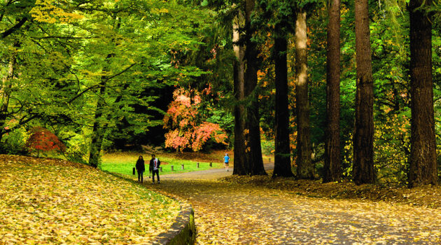 Washington Park Arboretum