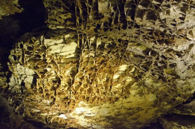 Wind Cave National Park