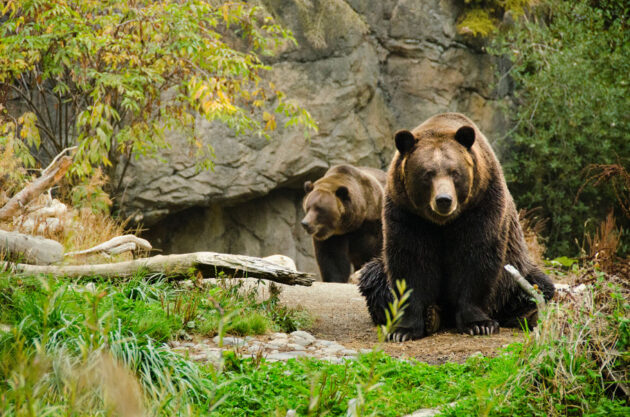 Woodland Park Zoo