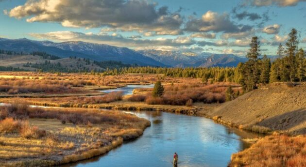 Yellowstone National Park