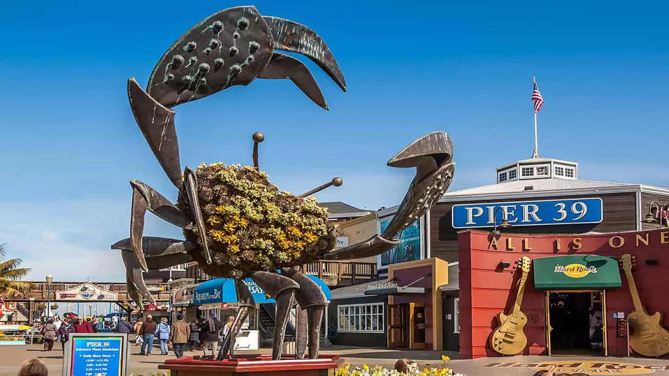 fisherman's wharf
