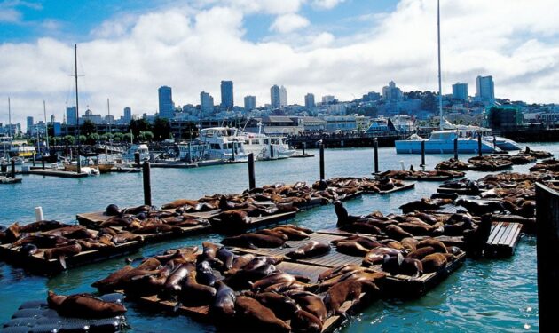 fisherman's wharf
