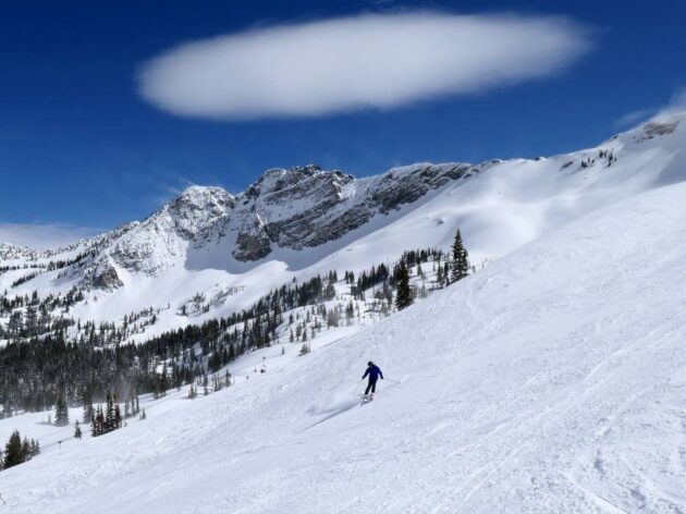 Alta Ski Area