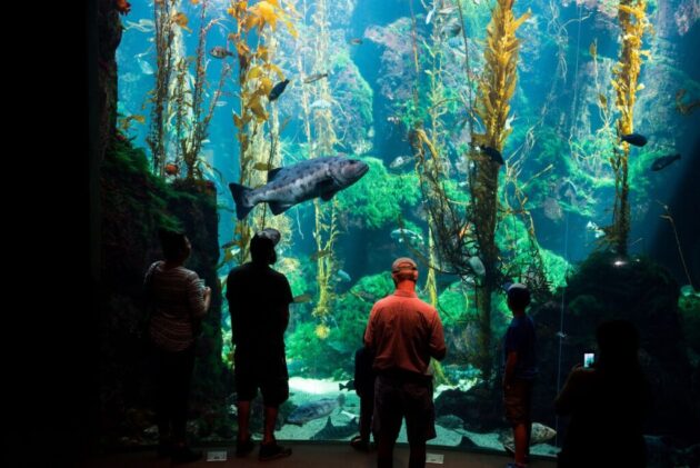 California Science Center