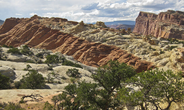 Capitol Reef National Park