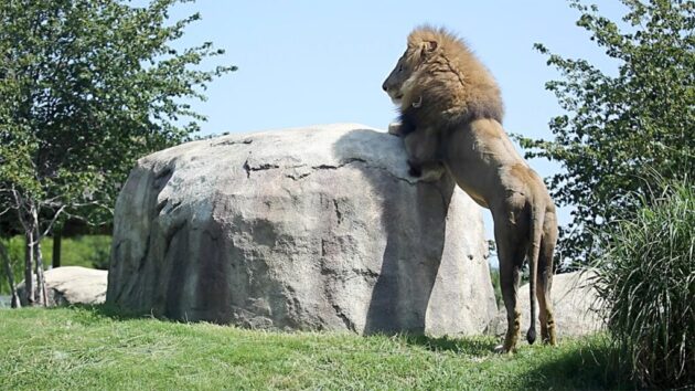 Dallas Zoo