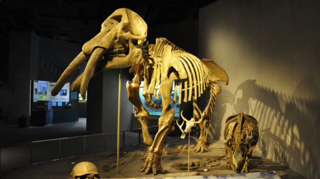Denver Museum of Nature & Science