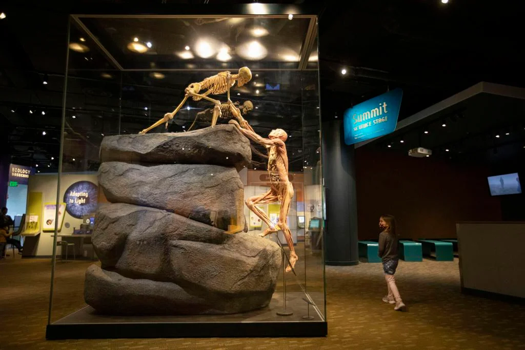 Denver Museum of Nature & Science