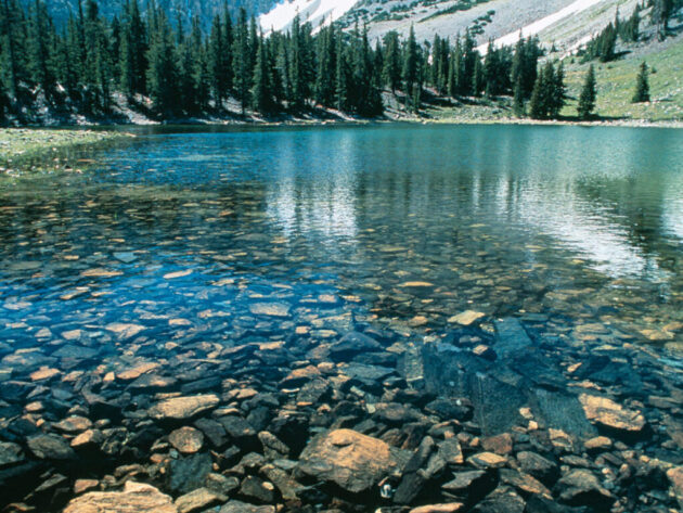 Great Basin National Park