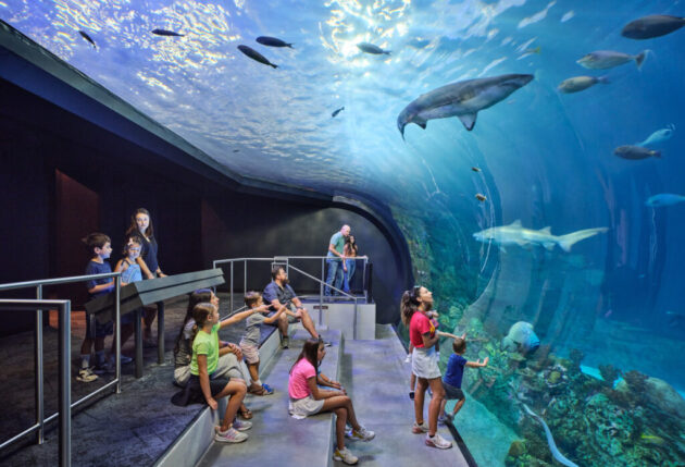 Kansas City Zoo & Aquarium