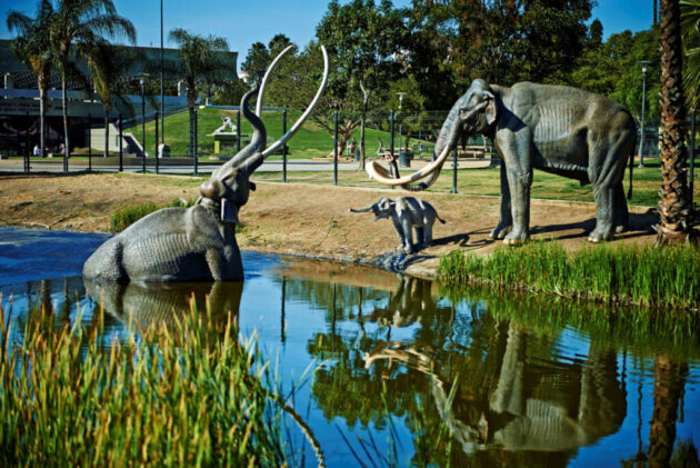 La Brea Tar Pits and Museum