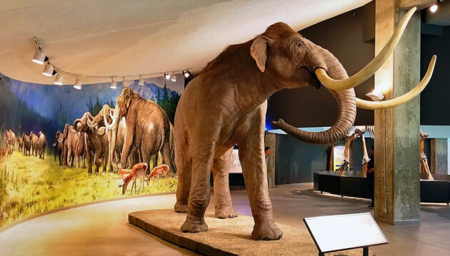 La Brea Tar Pits and Museum