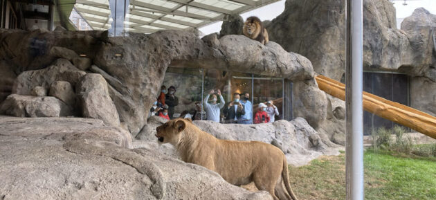 Lincoln Park Zoo