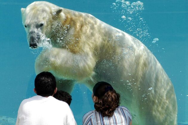Lincoln Park Zoo