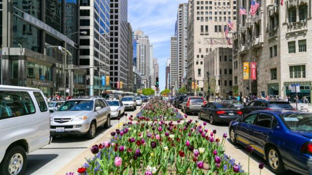Magnificent Mile