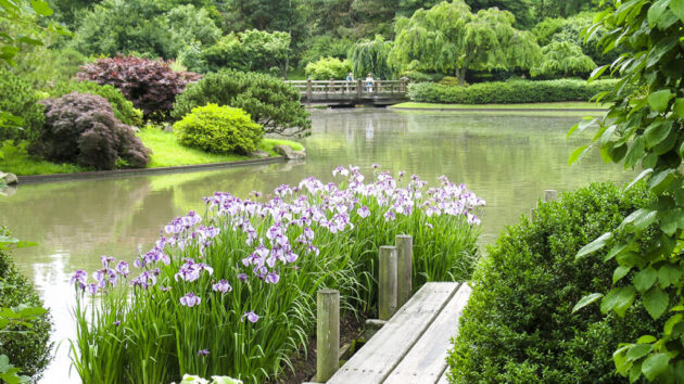 Missouri Botanical Garden