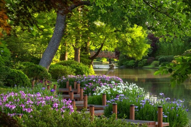 Missouri Botanical Garden