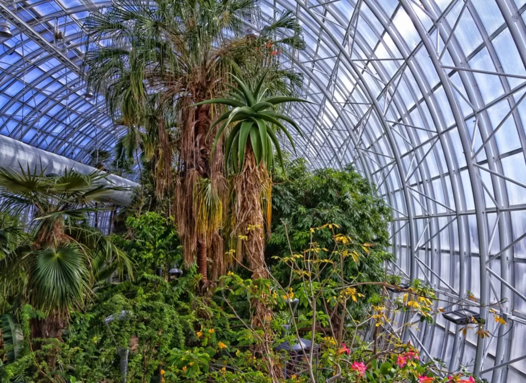 Myriad Botanical Gardens