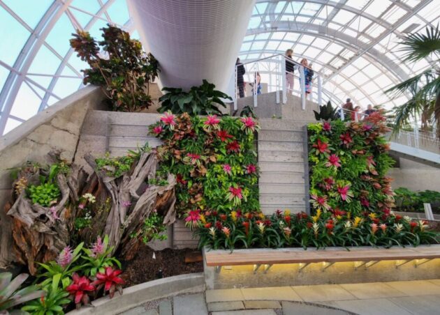 Myriad Botanical Gardens
