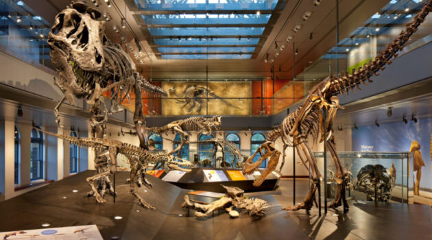 Natural History Museum of Los Angeles County