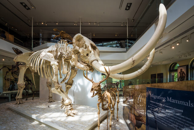 Natural History Museum of Los Angeles County