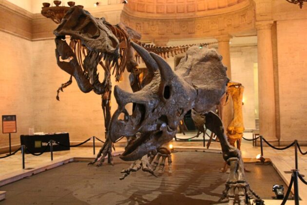 Natural History Museum of Los Angeles County
