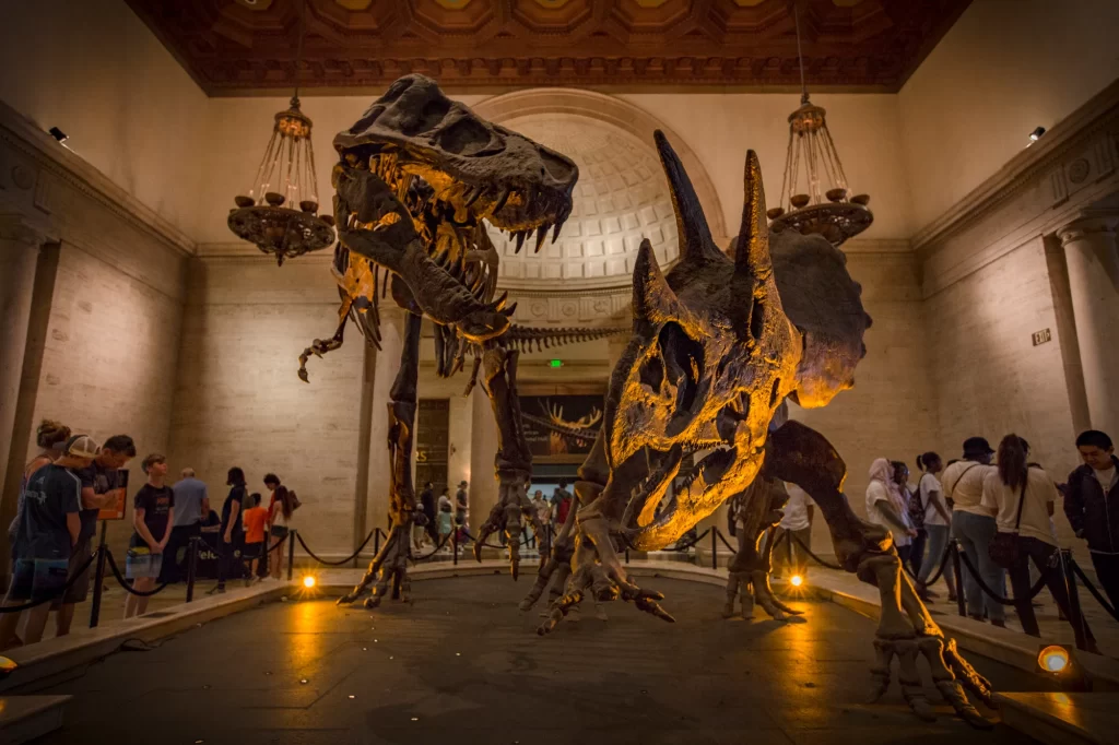 Natural History Museum of Los Angeles County