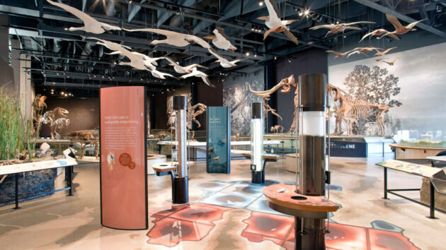 Natural History Museum of Utah