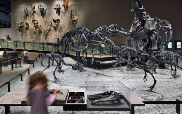Natural History Museum of Utah
