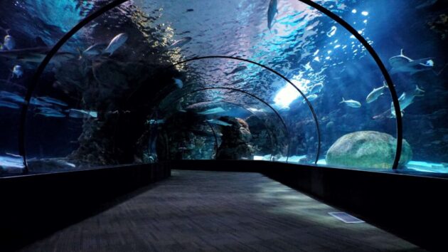 Oklahoma Aquarium