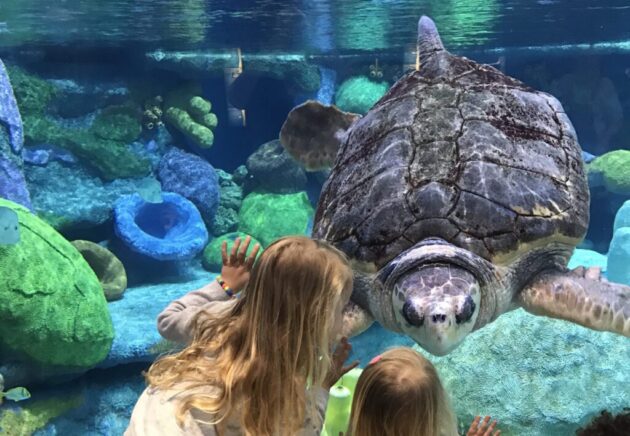 Oklahoma Aquarium