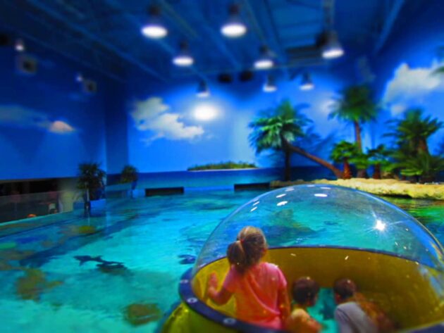 Oklahoma Aquarium