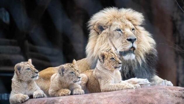 Oklahoma City Zoo