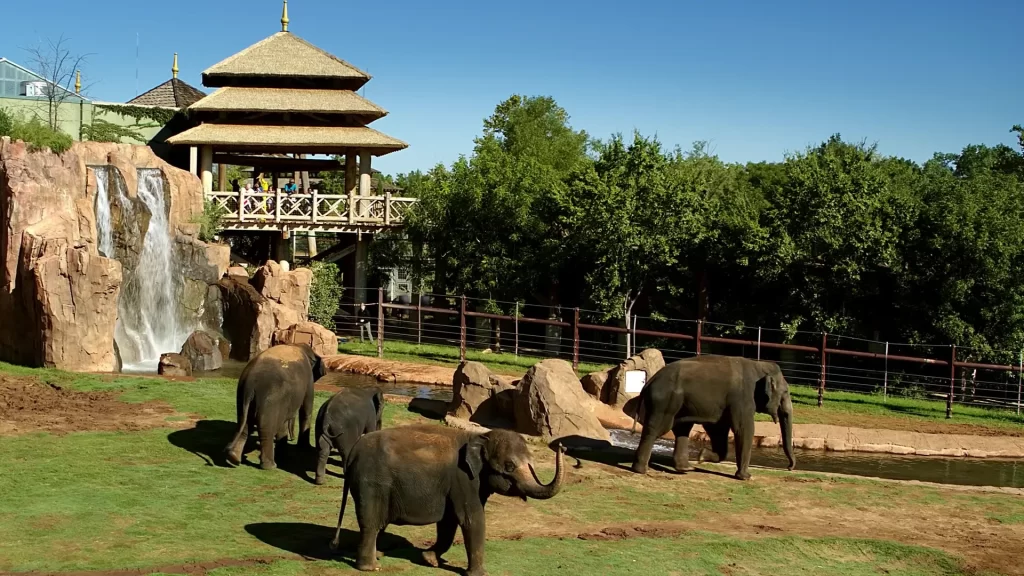 Oklahoma City Zoo