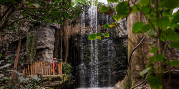 Omaha's Henry Doorly Zoo and Aquarium