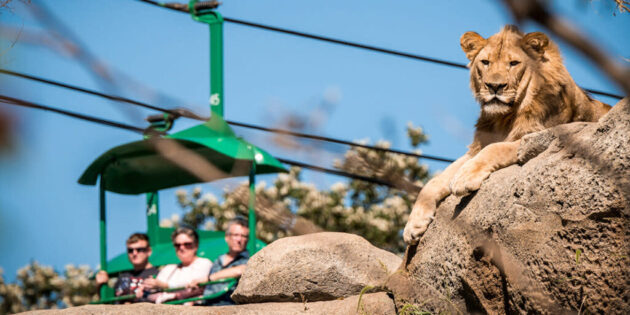 Omaha's Henry Doorly Zoo and Aquarium
