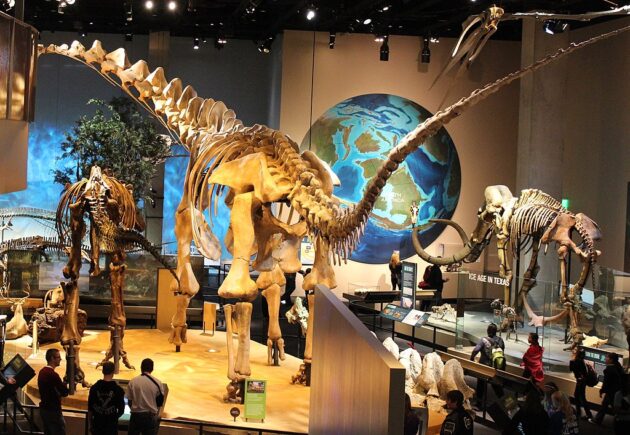 Perot Museum of Nature and Science