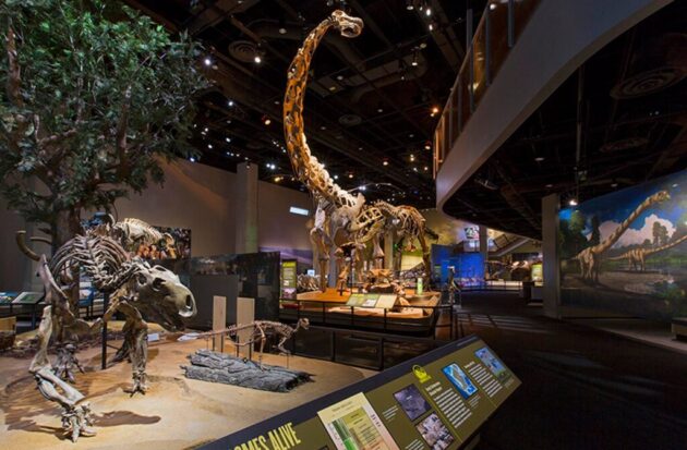 Perot Museum of Nature and Science