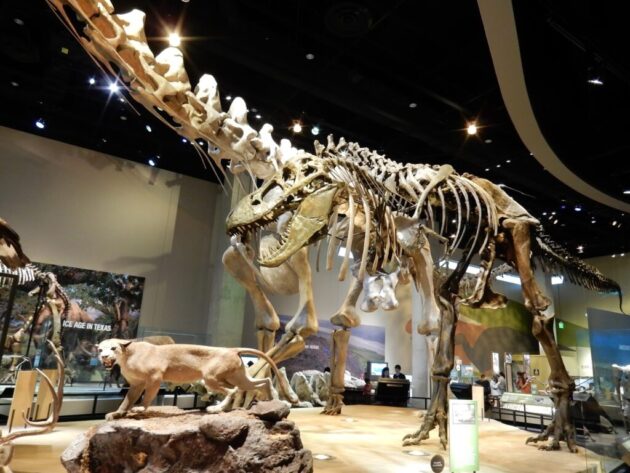 Perot Museum of Nature and Science