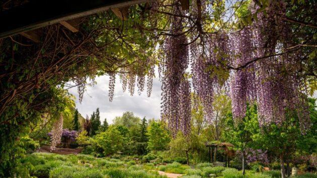 Red Butte Garden