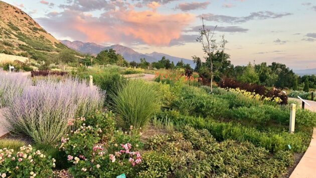 Red Butte Garden