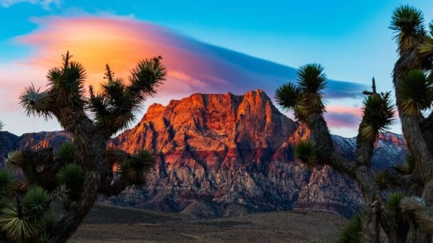Red Rock Canyon National Conservation Area