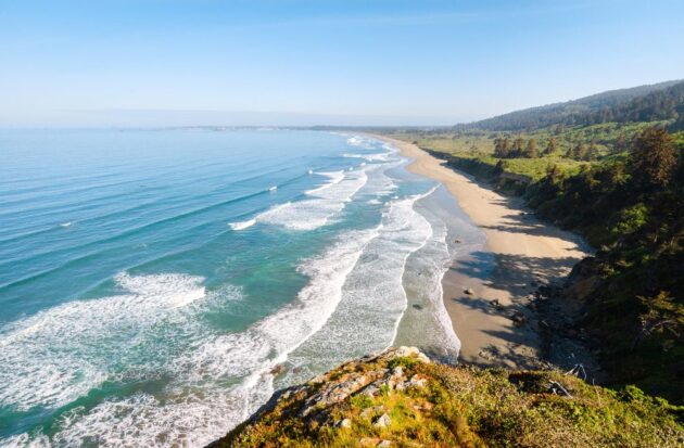 Redwood National and State Parks