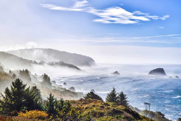 Redwood National and State Parks