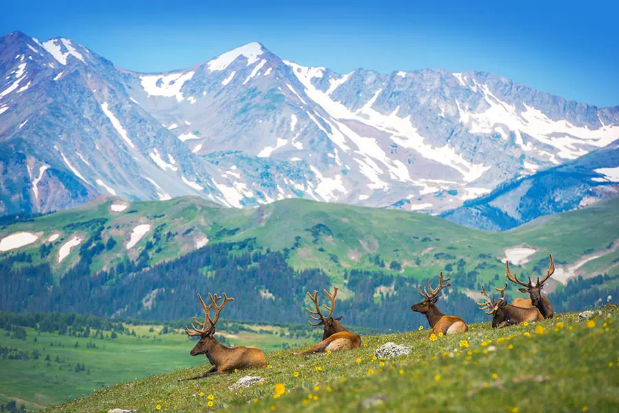 Rocky Mountain National Park ★